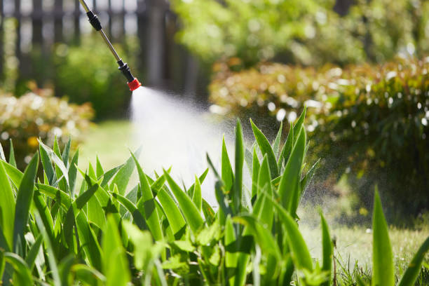 24/7 Emergency Mosquito Control experts in College, AK