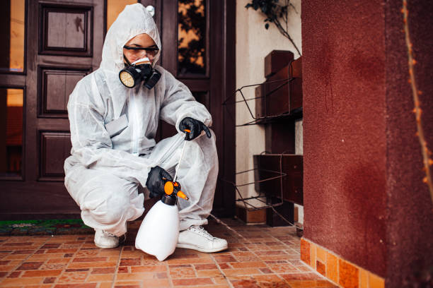Reliable Mosquito Control contractor in College, AK by Show Me Pest Control