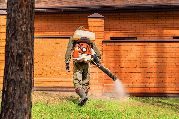 Top rated local Mosquito Control specialists in College, AK